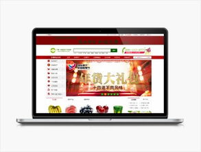 遠(yuǎn)豐電商集團(tuán) 專業(yè)電子商務(wù)服務(wù)提供商的成功之路