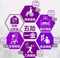 信息咨詢服務的價格、批發與廠家指南