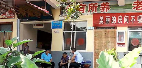 養老院十五年忽思歸，子女驚愕方知亡母已逝廿八載